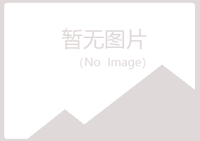 青铜峡夏日化学有限公司